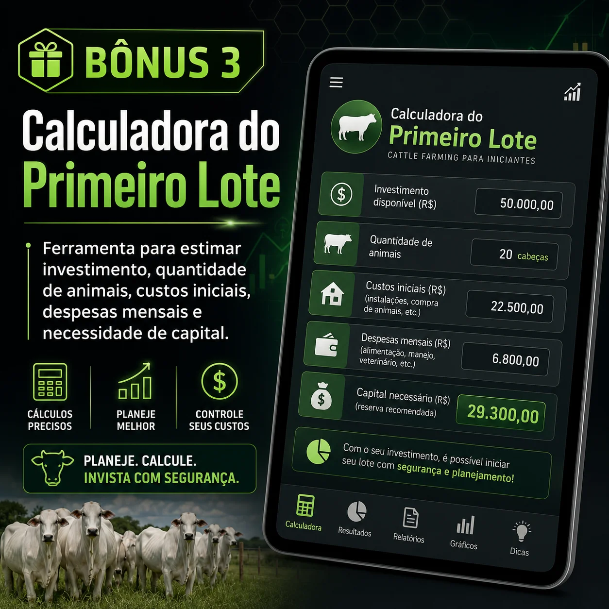 Calculadora do Primeiro Lote