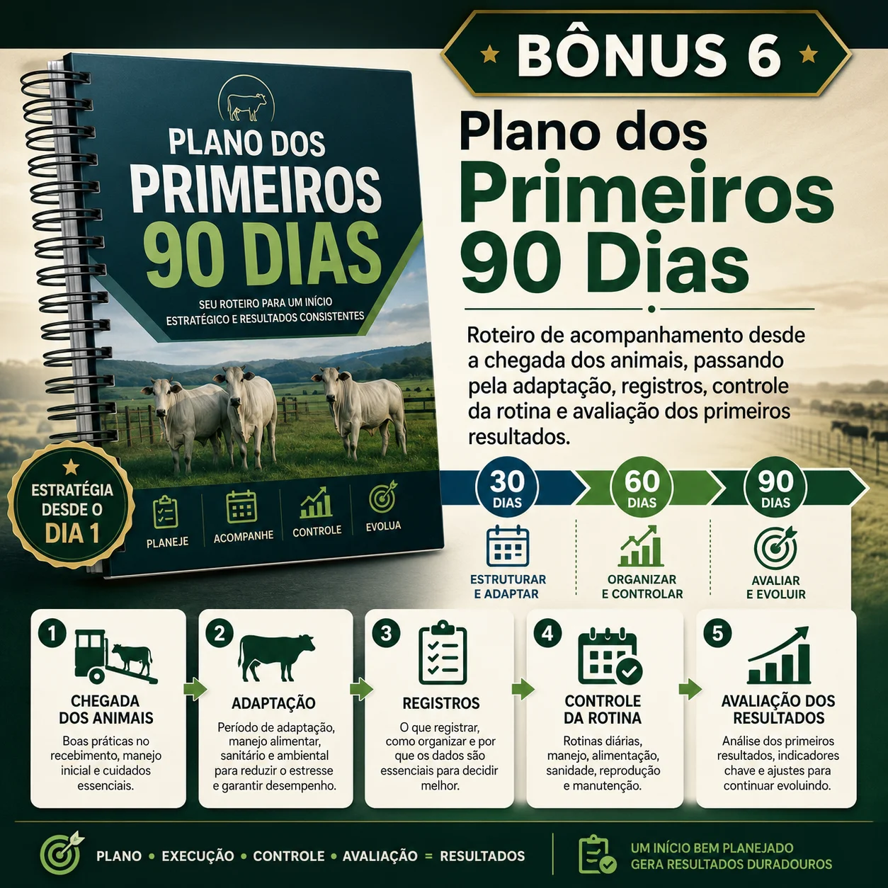 Plano dos Primeiros 90 Dias