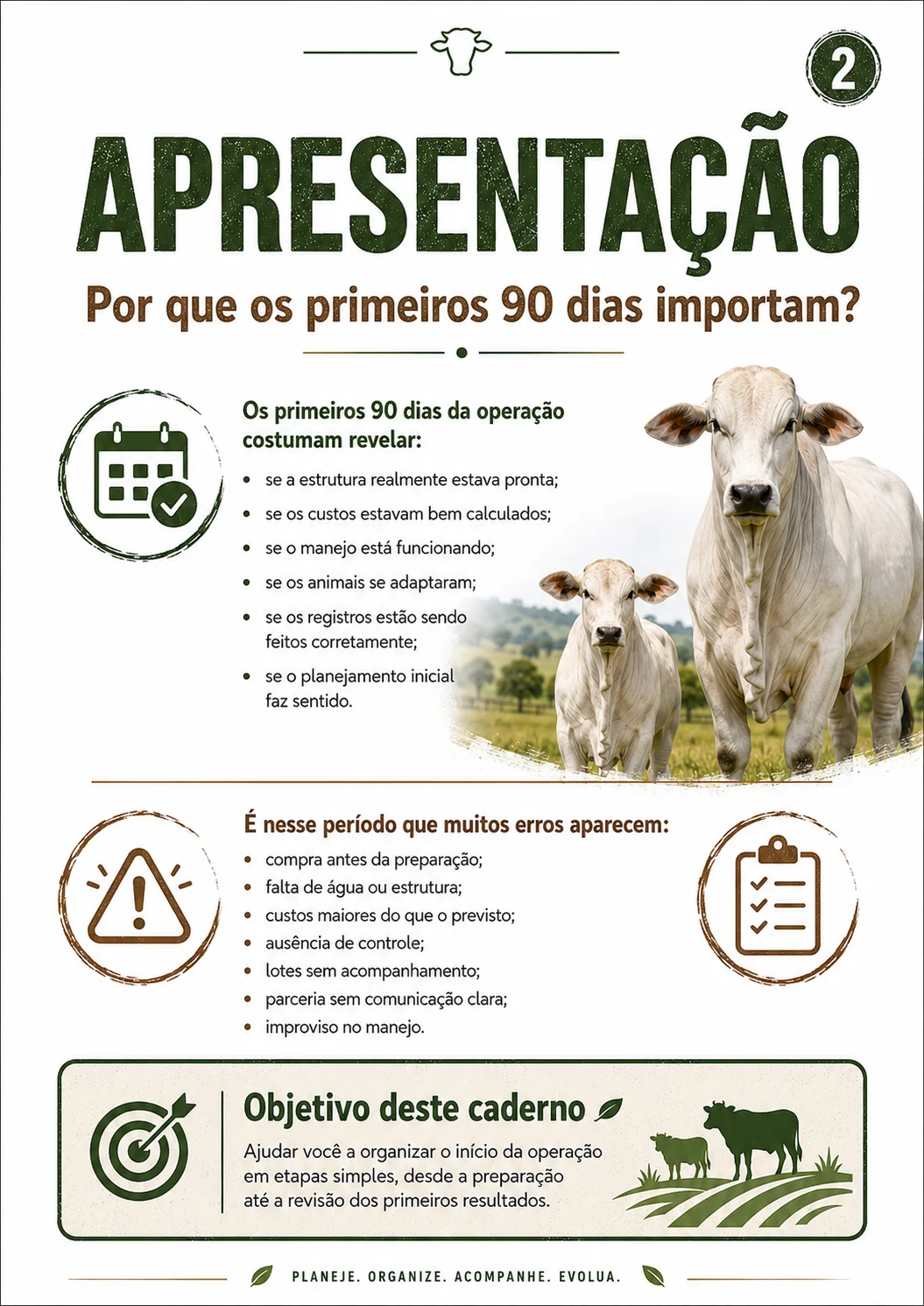 Página interna: Apresentação, por que os primeiros 90 dias importam