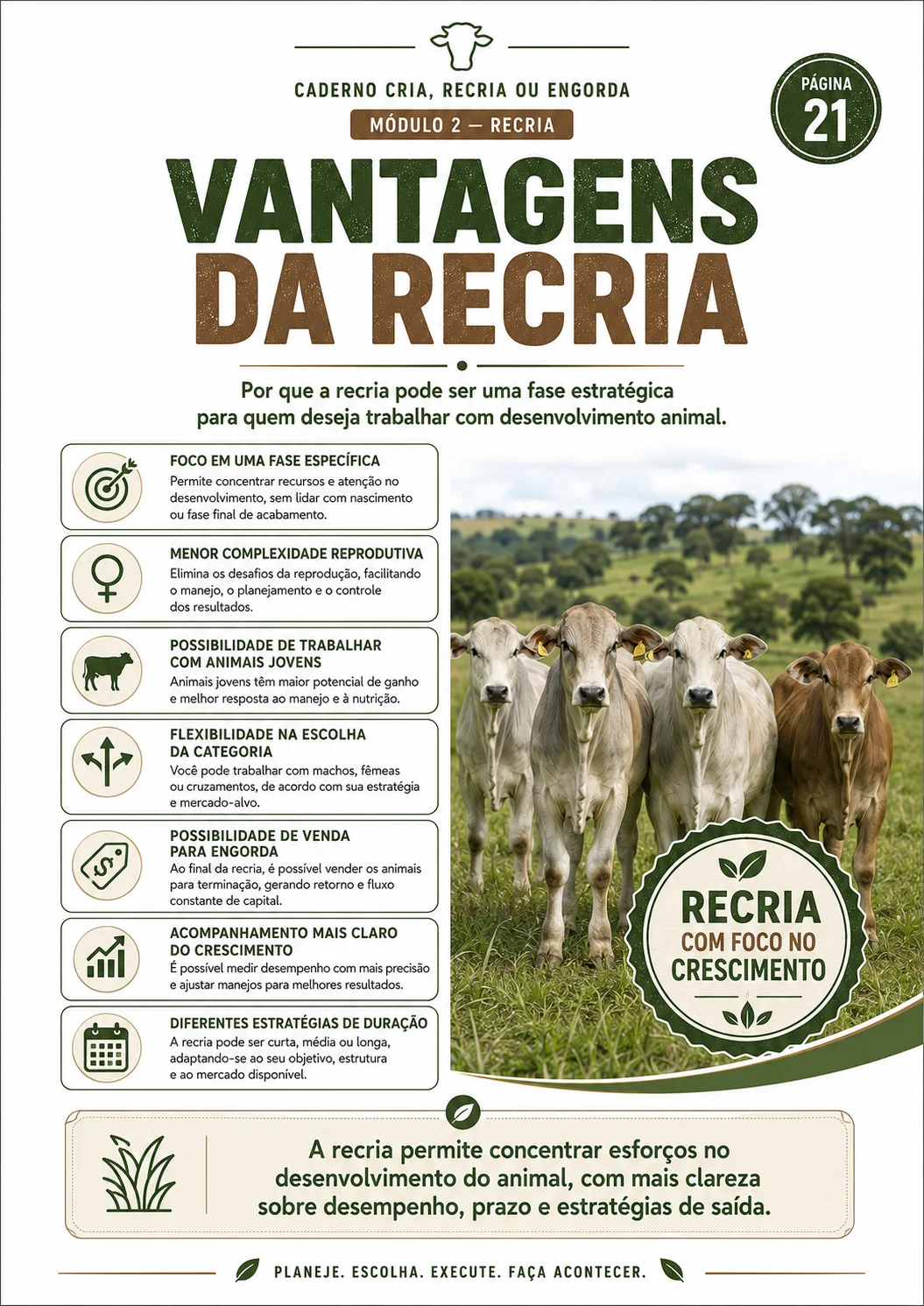 Página interna: vantagens da recria